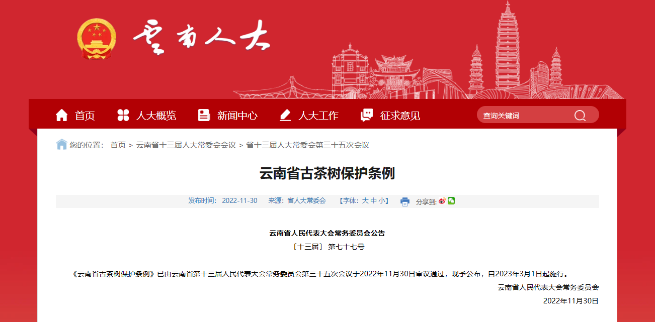 1709185541280018.png 云南人大,古茶树保护条例.png