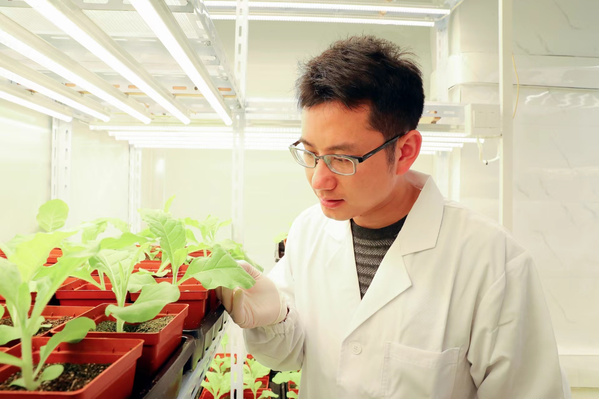 1709249304620420.jpg 微信图片_20240228190952.jpg