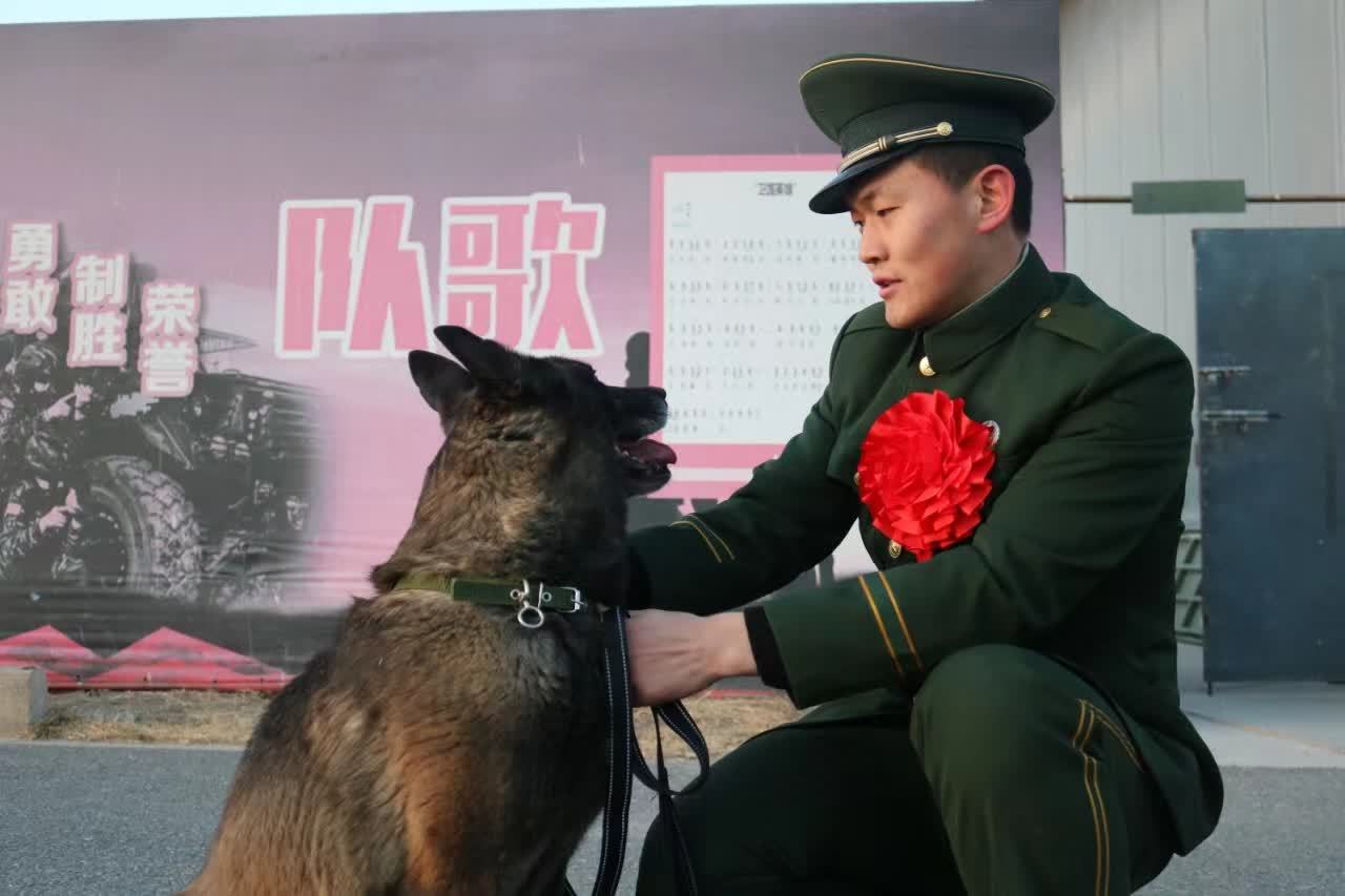 1709295156964261.jpg ewtwiirgmmrk4oo3lpvkkevl_m.jpg