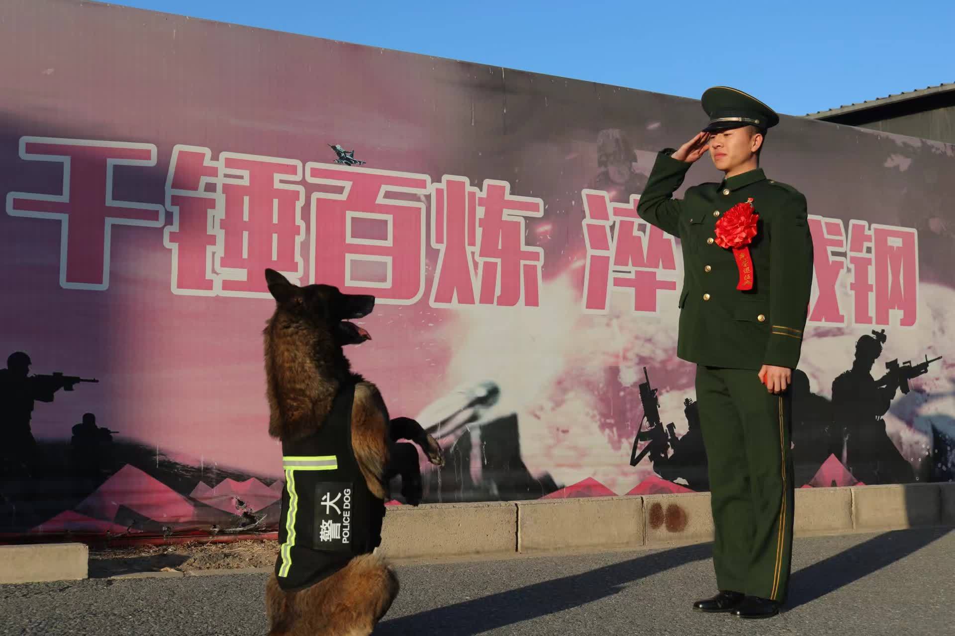 1709295176506535.jpg 7lv3fs7w9k8feone6fj546xw_m.jpg