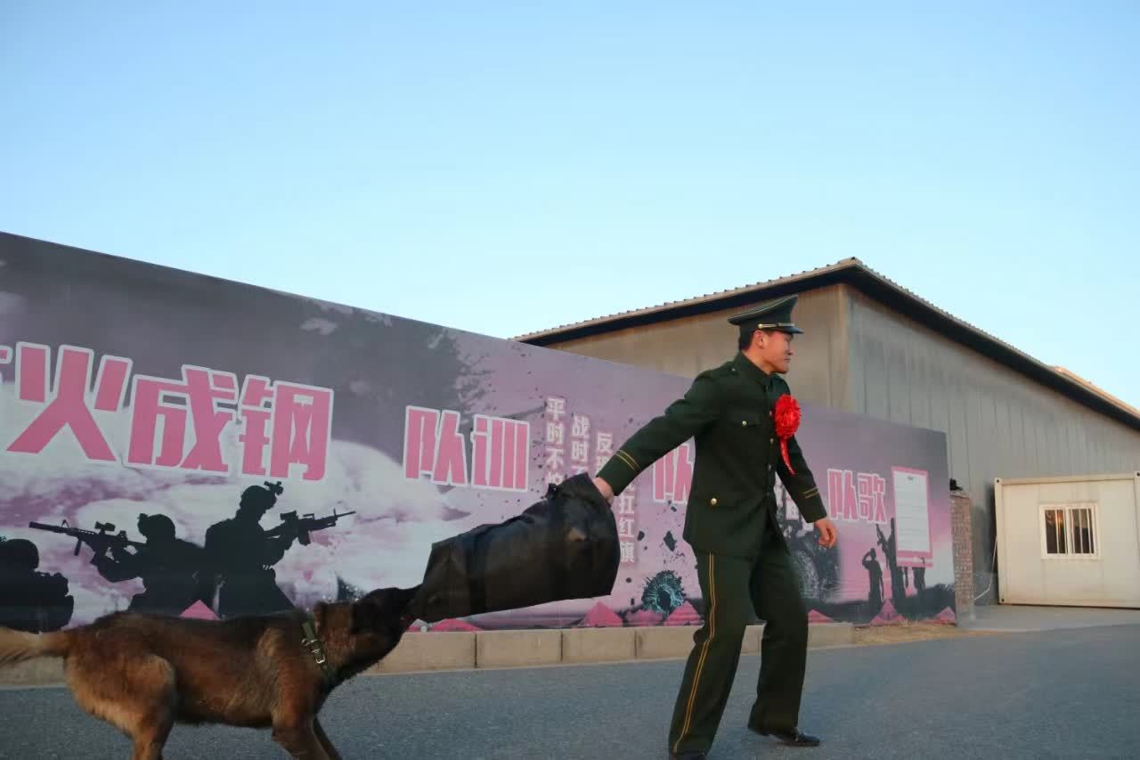 1709295247338751.jpg u4w4dpcrwittfrrzrtl5wnqx_m.jpg