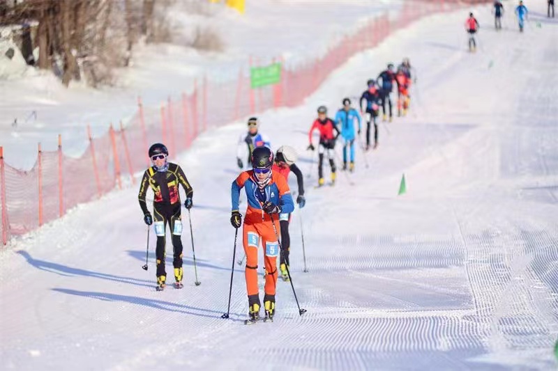 1709715103455127.jpg 微信图片_20240306165019.jpg