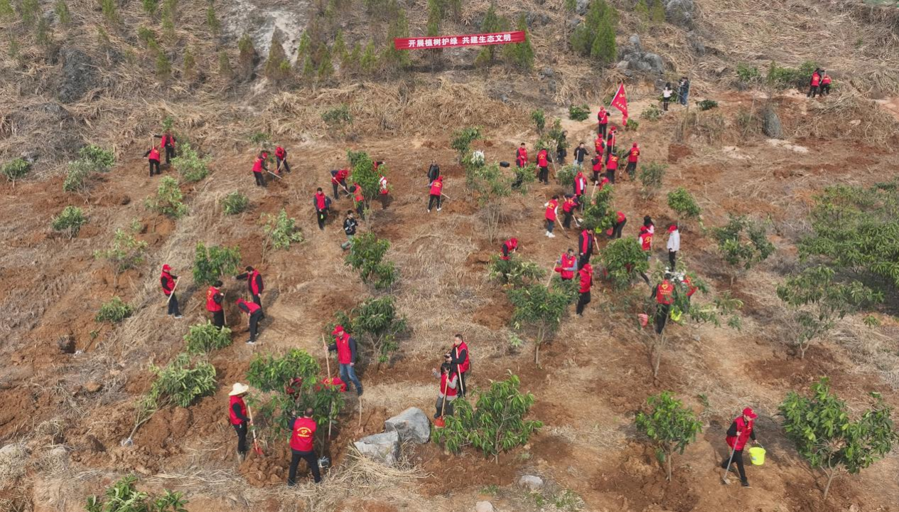 1710200129233594.png image.png