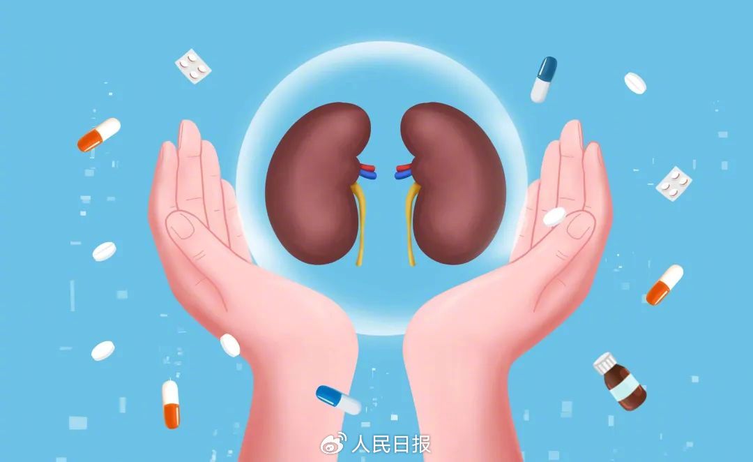 1710388176668203.jpg 0033ImPzly4hnqaez6zxij60u00ie3ze02.jpg