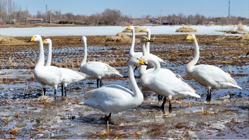 1710420144243961.png image.png