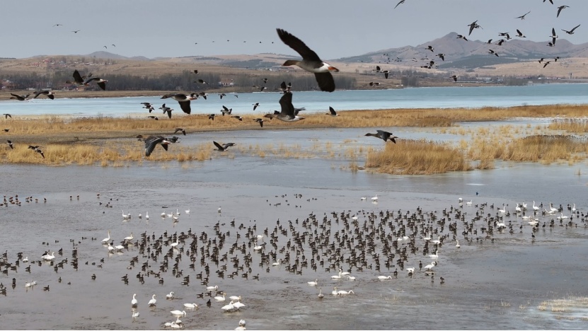 1710420270560970.png image.png