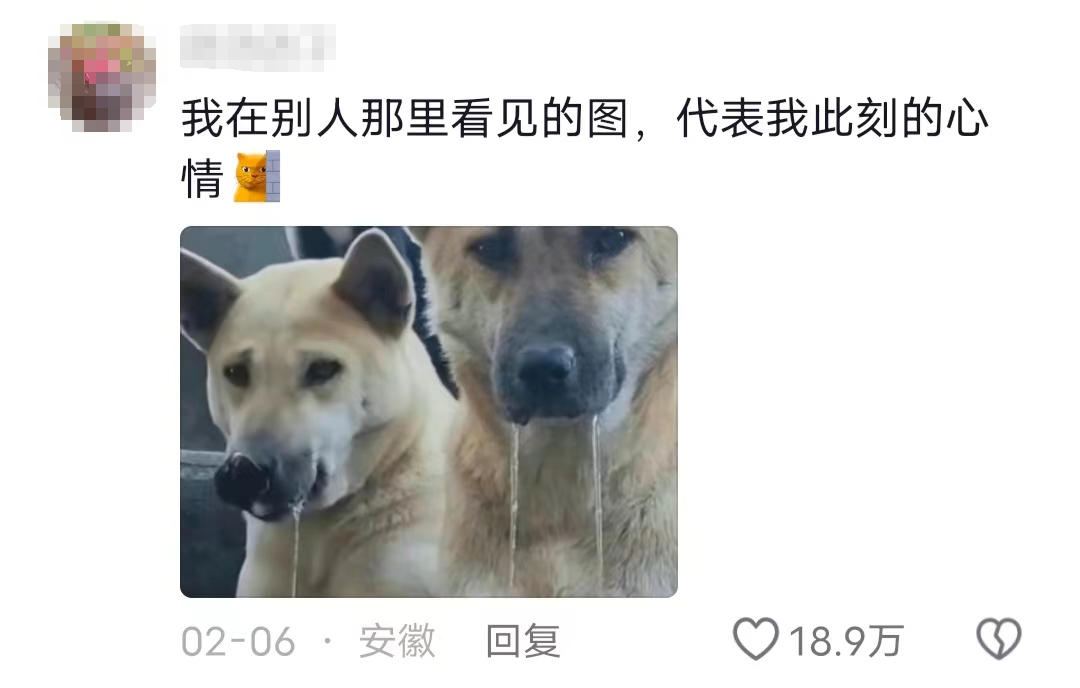 1710459480142453.png 急19.png