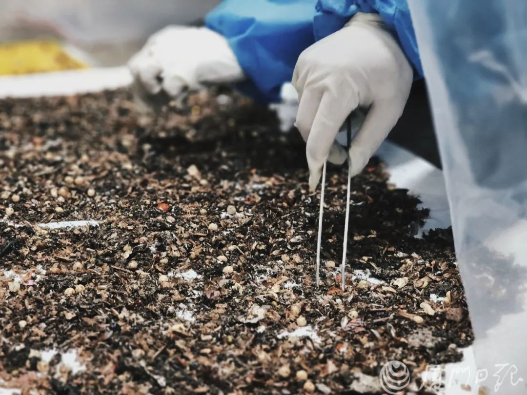 1710742504809567.jpeg 太可怕2.jpeg