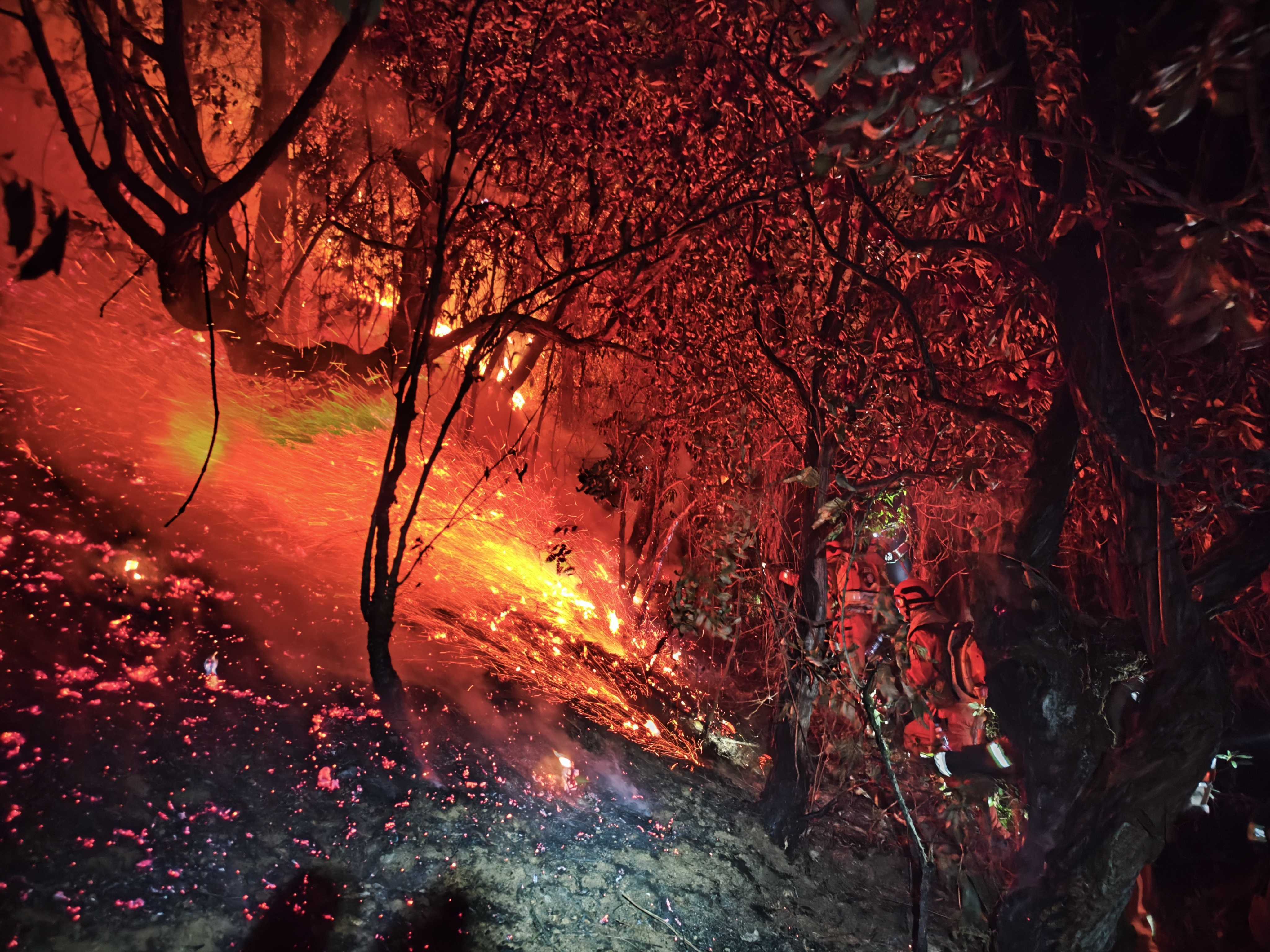 【图3】大理森林山火灭火一线。 人民网记者 蔡树菁摄.jpg