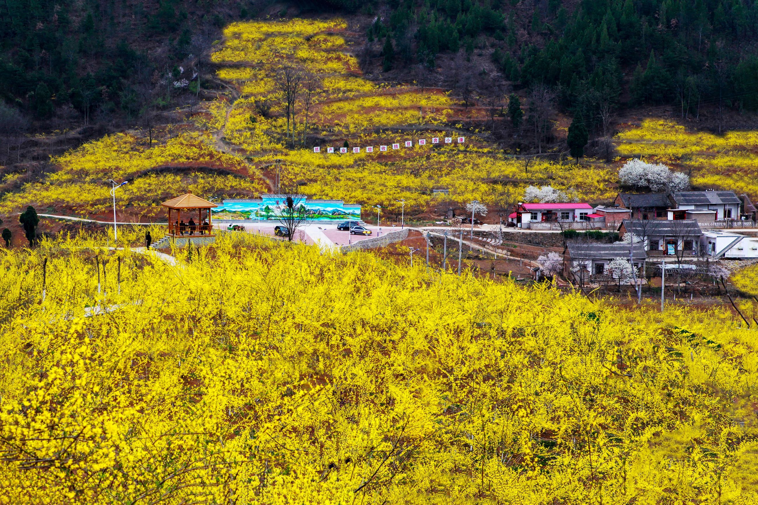 1710812097672543.jpg 31.jpg