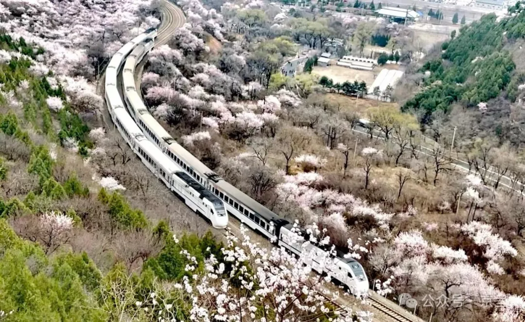 1711250055569632.jpg 640.jpg