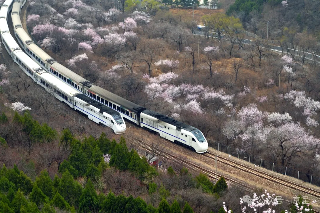 1711250122787699.jpg 640-2.jpg