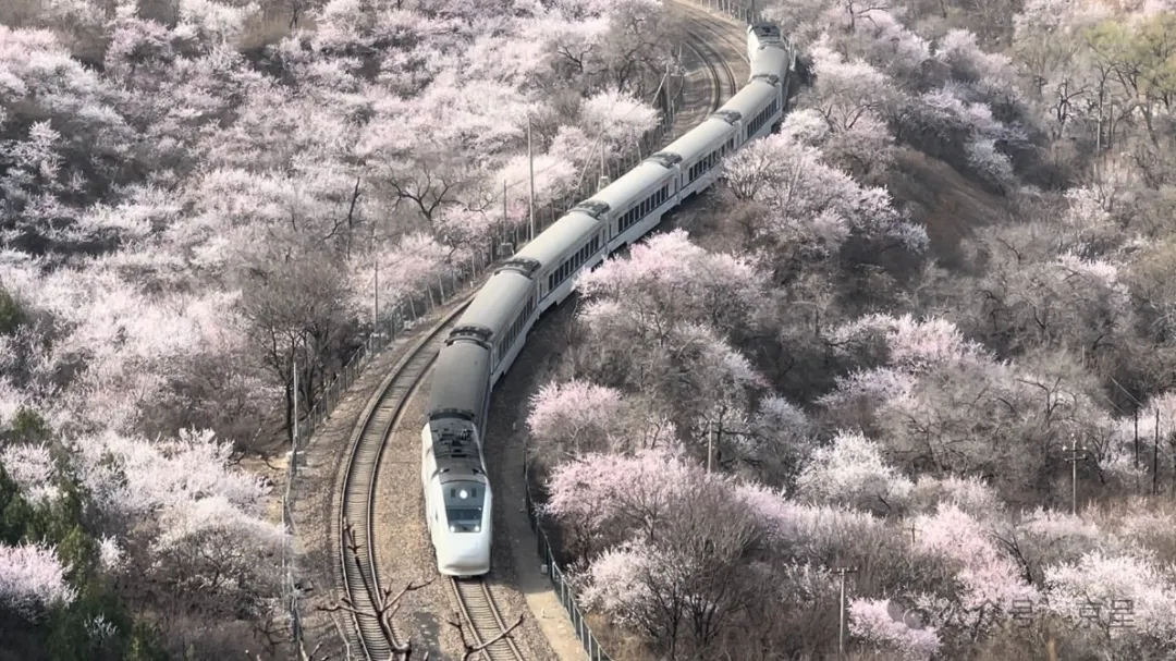 1711250154573459.jpg 6402-2.jpg