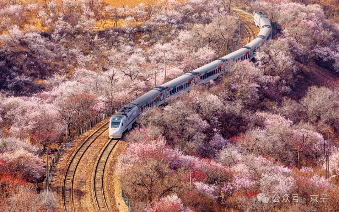 1711250182377098.jpg 6403-2.jpg