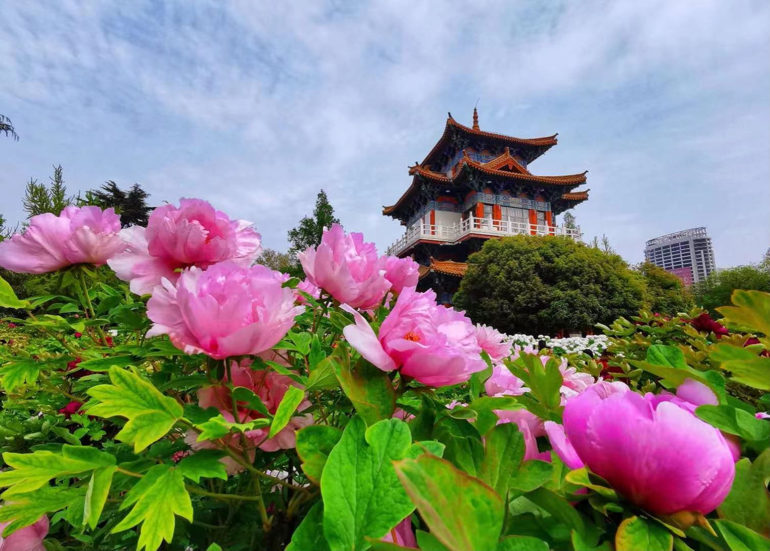 1711683045845423.jpg 微信图片_20240329112907.jpg