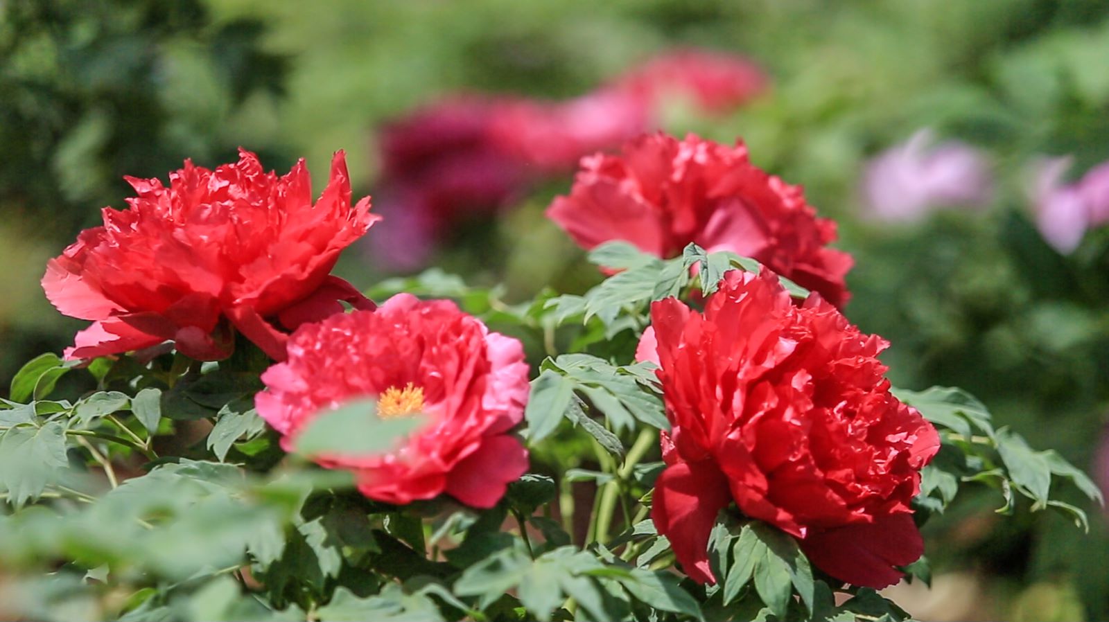 1711683050623186.jpg 微信图片_20240329112909.jpg