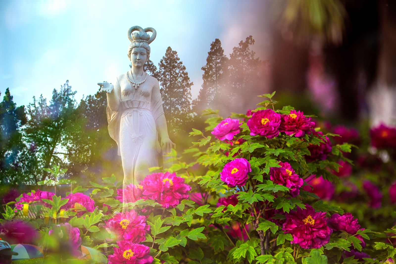 1711683057797709.jpg 微信图片_20240329112912.jpg