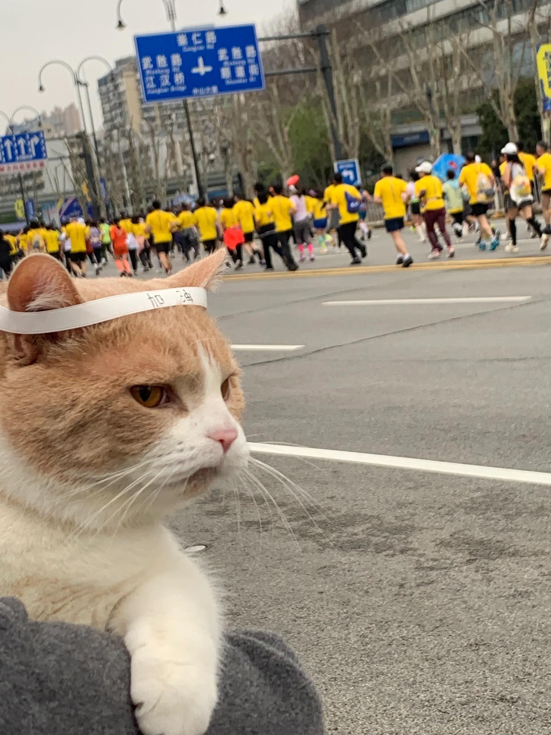 1711872037293118.jpg 微信图片_20240331151948.jpg