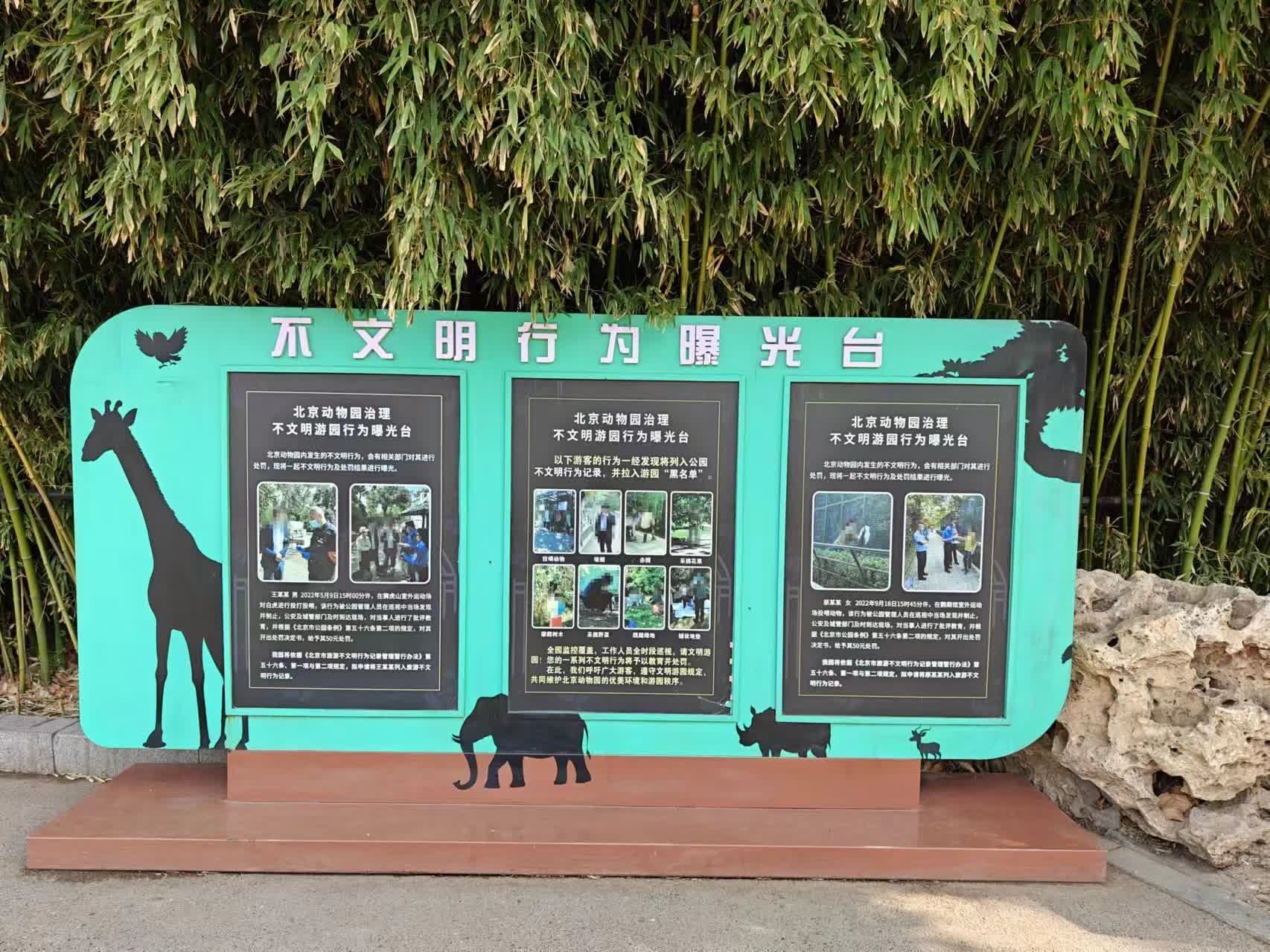 1712054419137944.jpg ca18tgkb8yewtjizu7p8zyqy_m.jpg