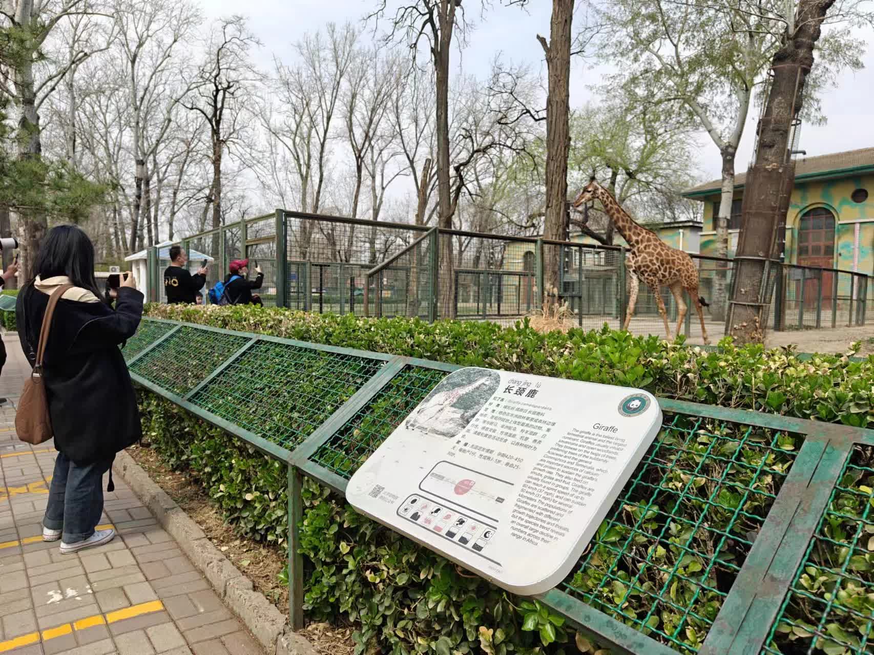 1712054459932317.jpg dezpj0dcvw7iaekarjiuomfm_m.jpg