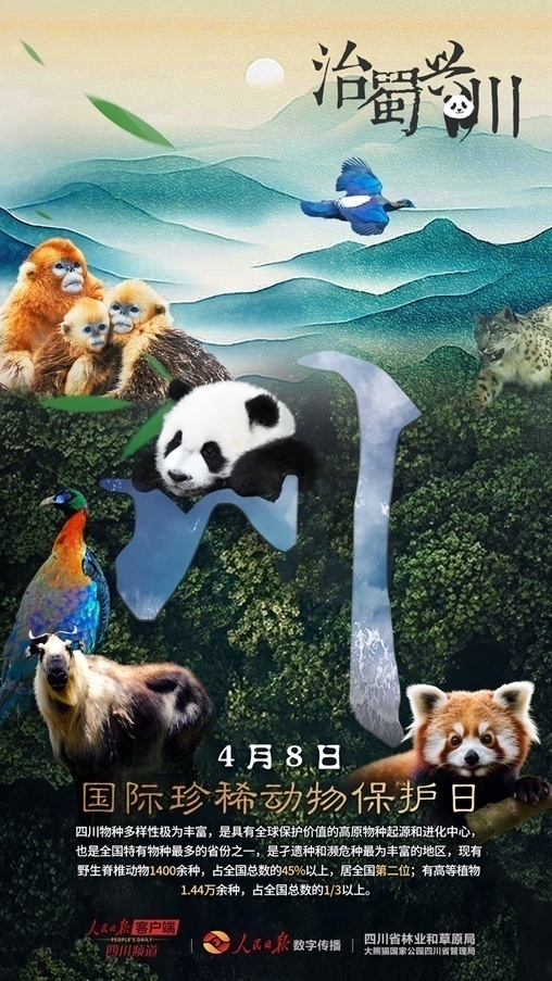 1712547211105877.jpg 1712547205748.jpg