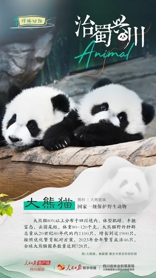 1712547226353234.jpg 1712547221375.jpg