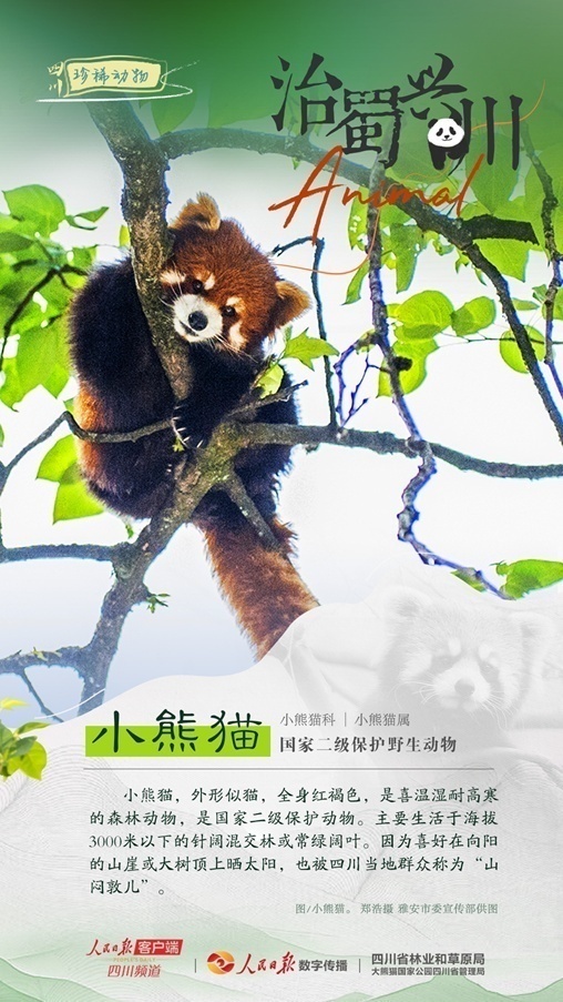 1712547239385796.jpg 1712547235460.jpg