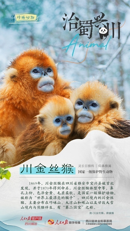 1712547254211656.jpg 1712547250536.jpg