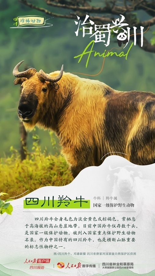 1712547266639569.jpg 1712547262966.jpg