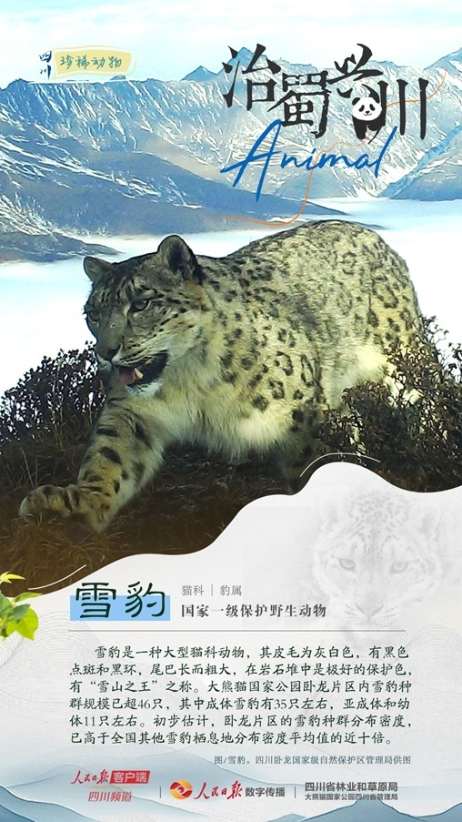 1712547287748827.jpg 1712547278258.jpg