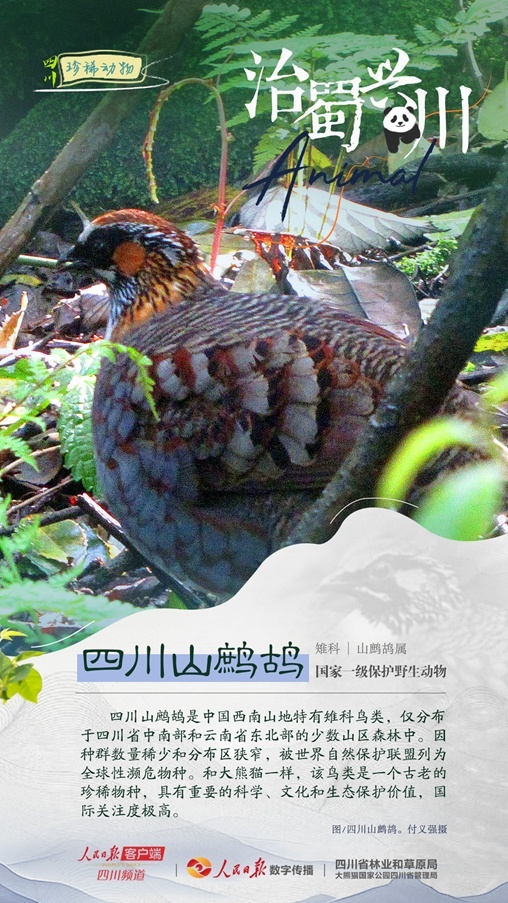 1712547300154094.jpg 1712547296353.jpg