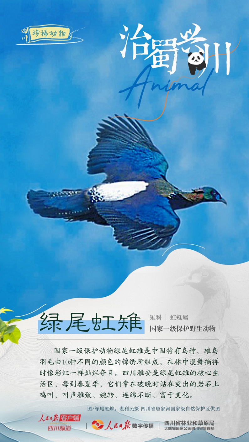 1712547315941160.png image.png