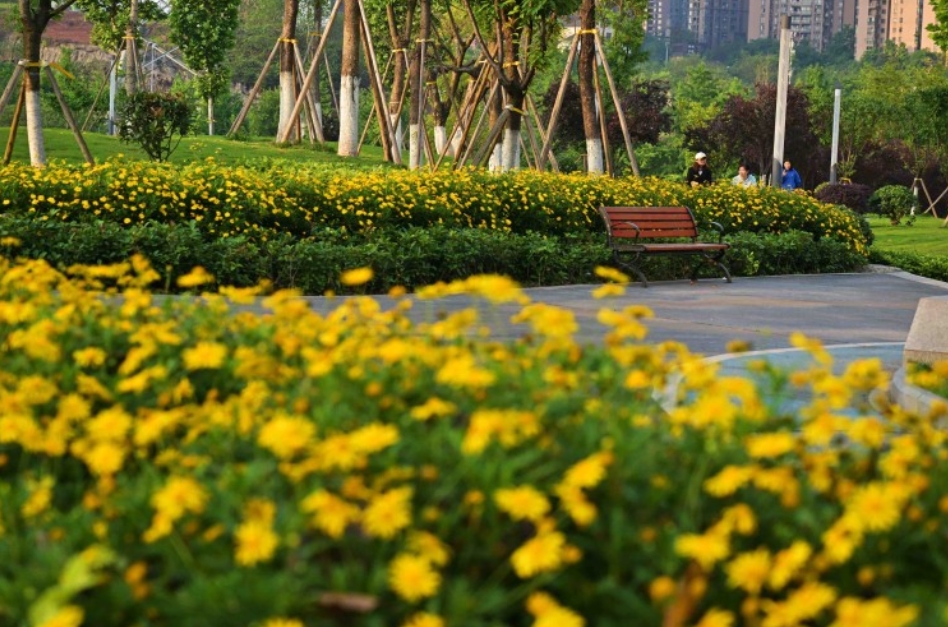 1712792571735950.png 微信截图_20240411074243.png