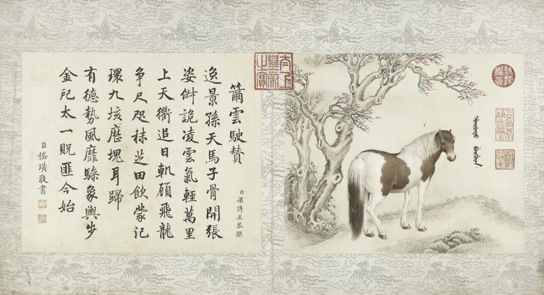 1712814378922951.jpg 2 - 01.jpg