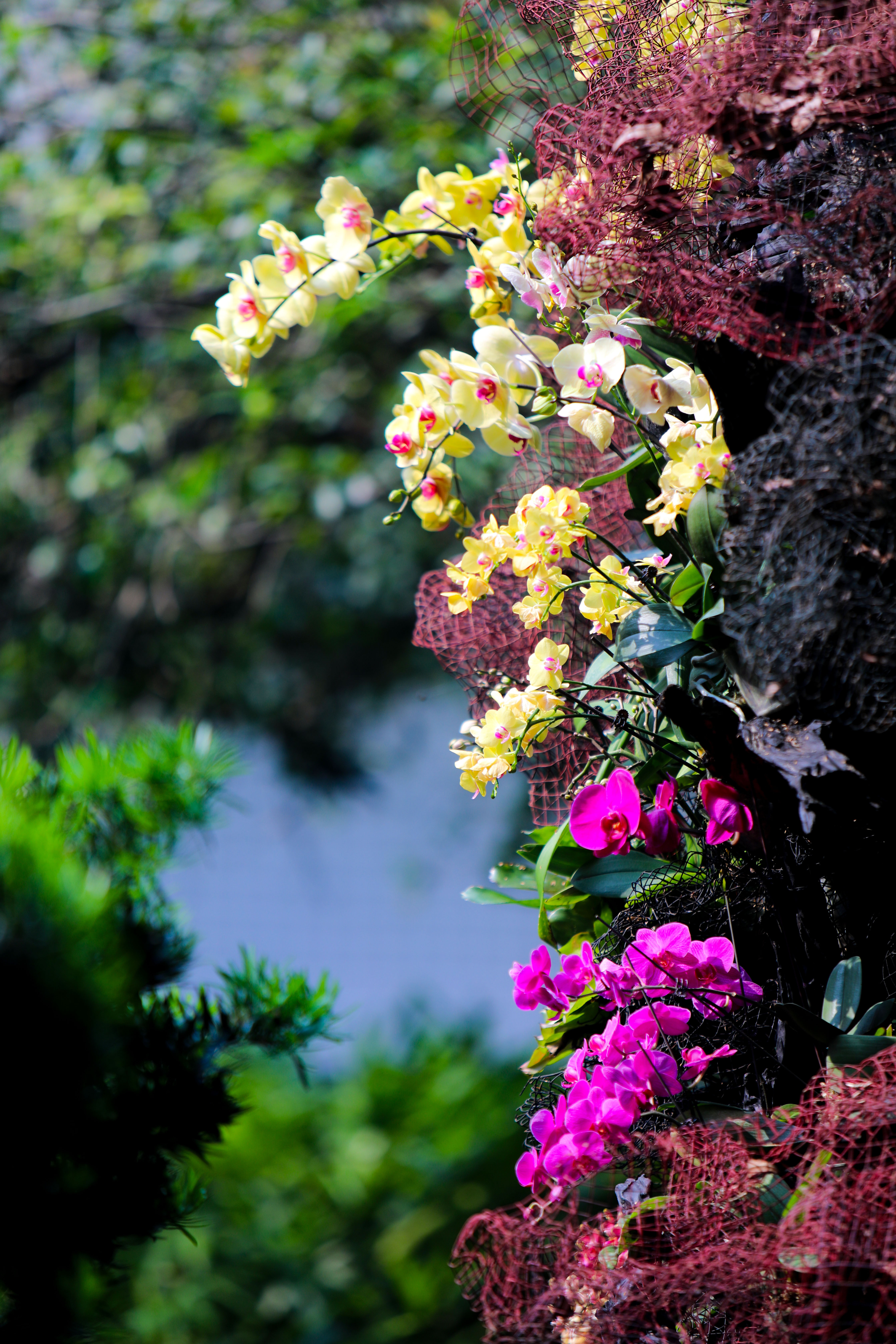 1712997163117694.jpg 微信图片_20240413162628.jpg