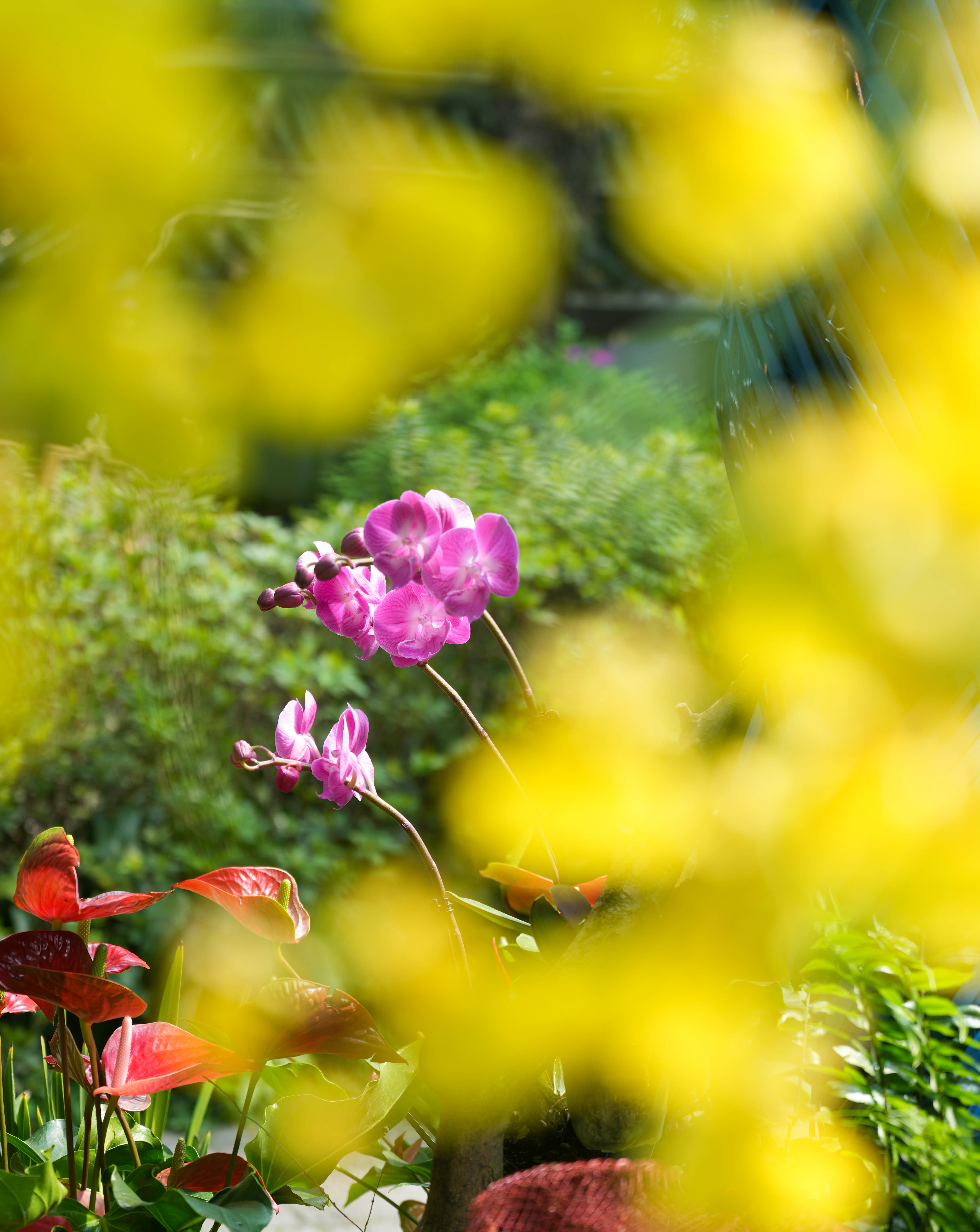 1712997563998546.jpg 微信图片_20240413162544.jpg