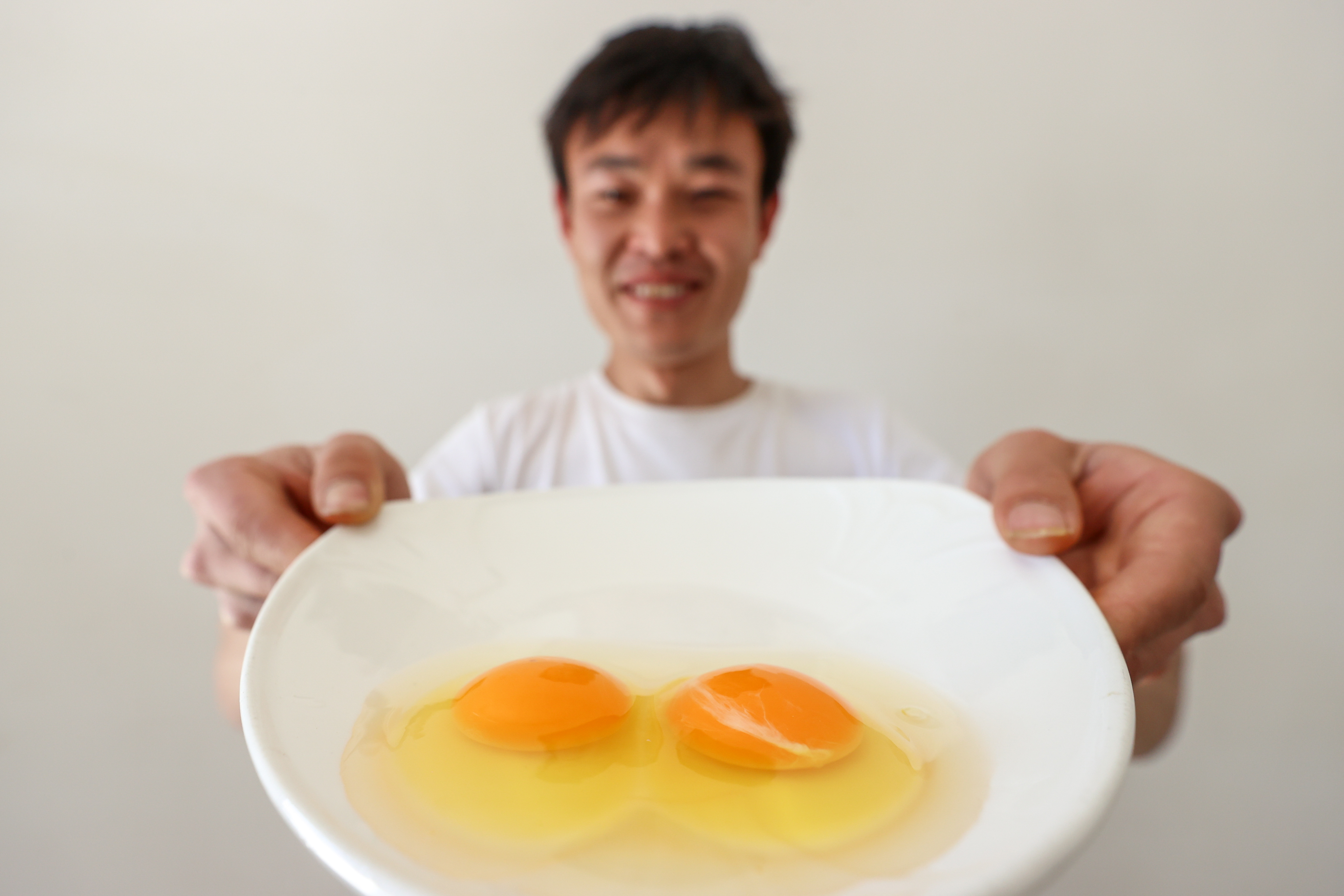 毕节鲜鸡蛋出口澳门