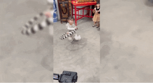 1713082636985495.gif 火遍5.gif