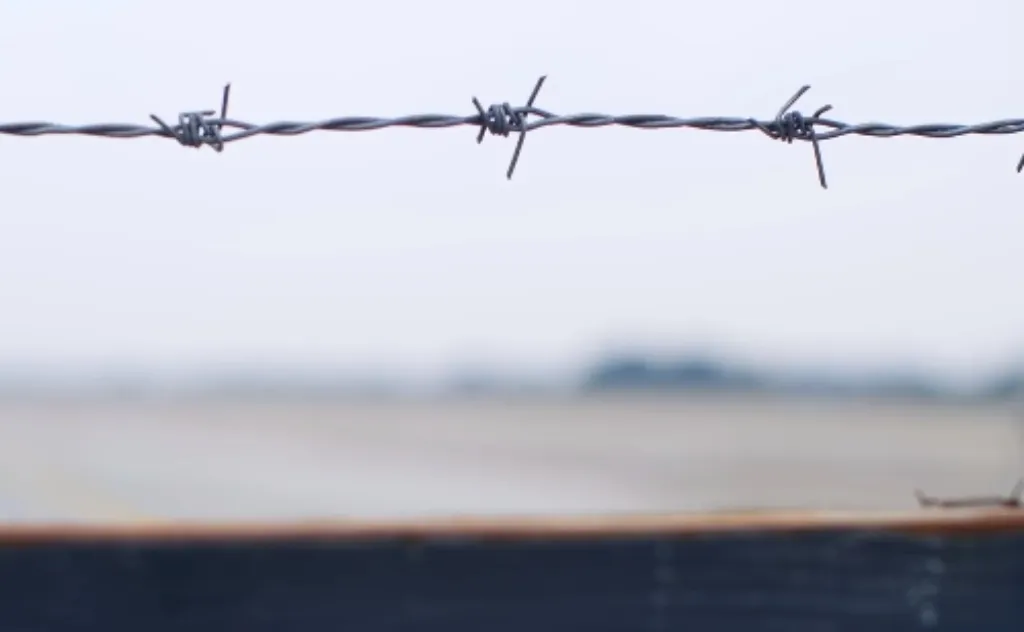 1713171469457414.jpg 判了4.jpg