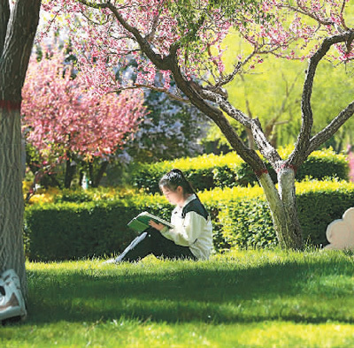 1714089464126598.jpeg 1714080233415_1.jpeg