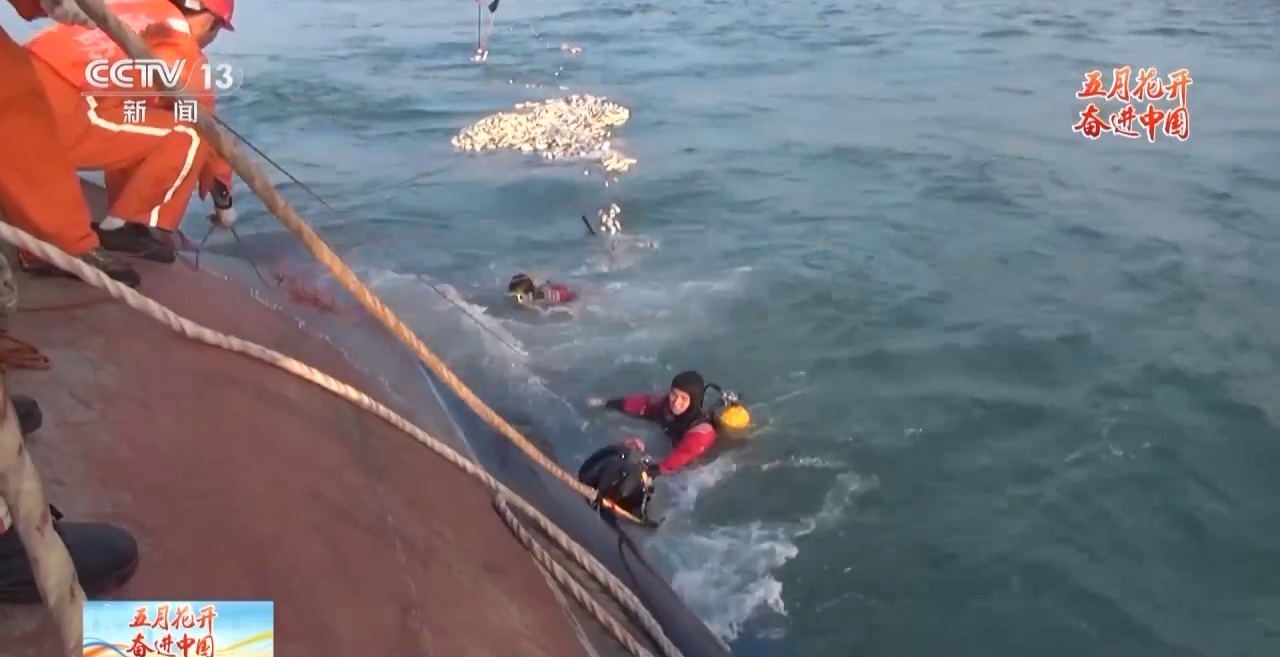 1714897005258967.jpeg 十年7.jpeg