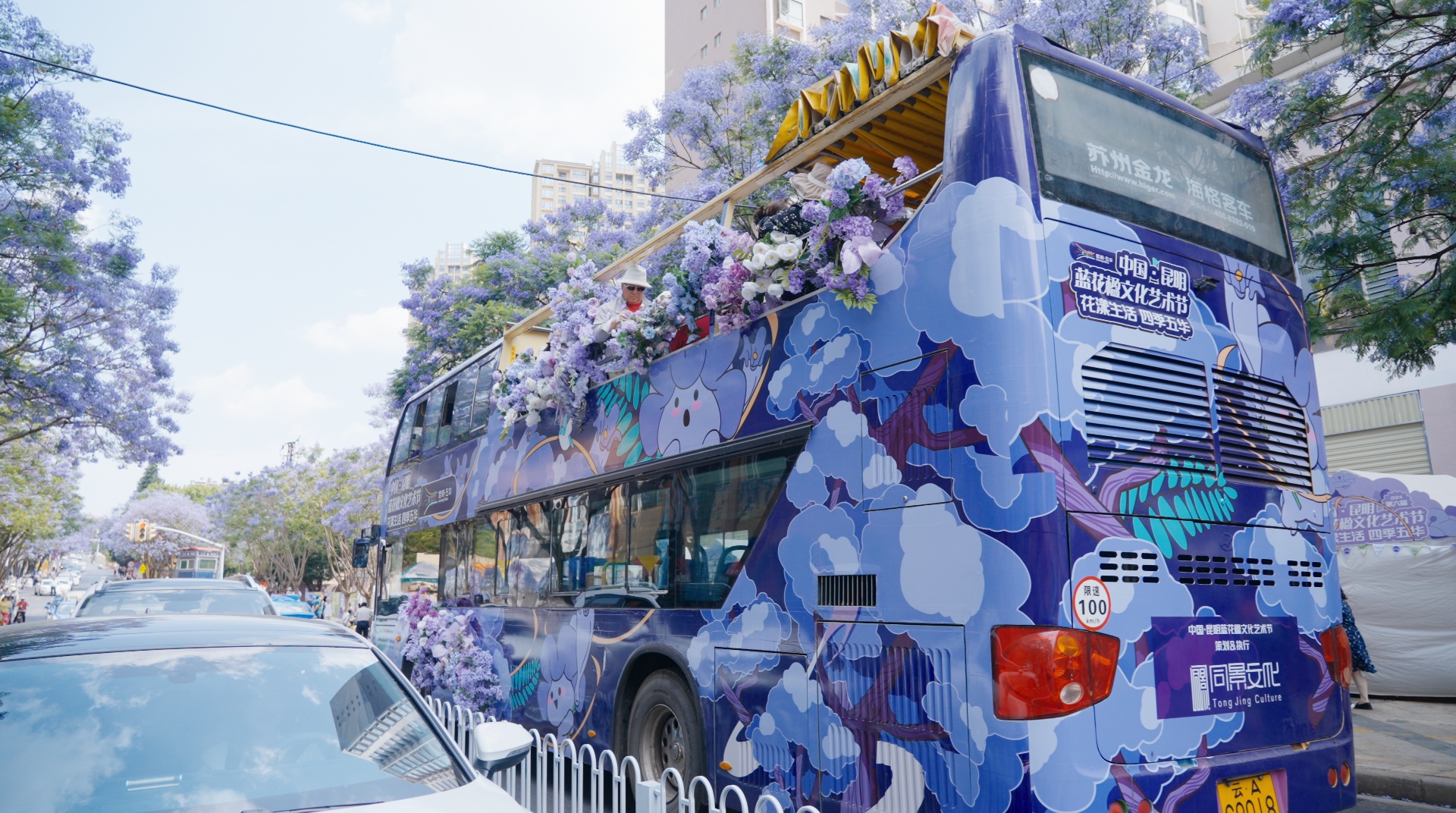 藍(lán)花楹3.png?x-oss-process=style/w10