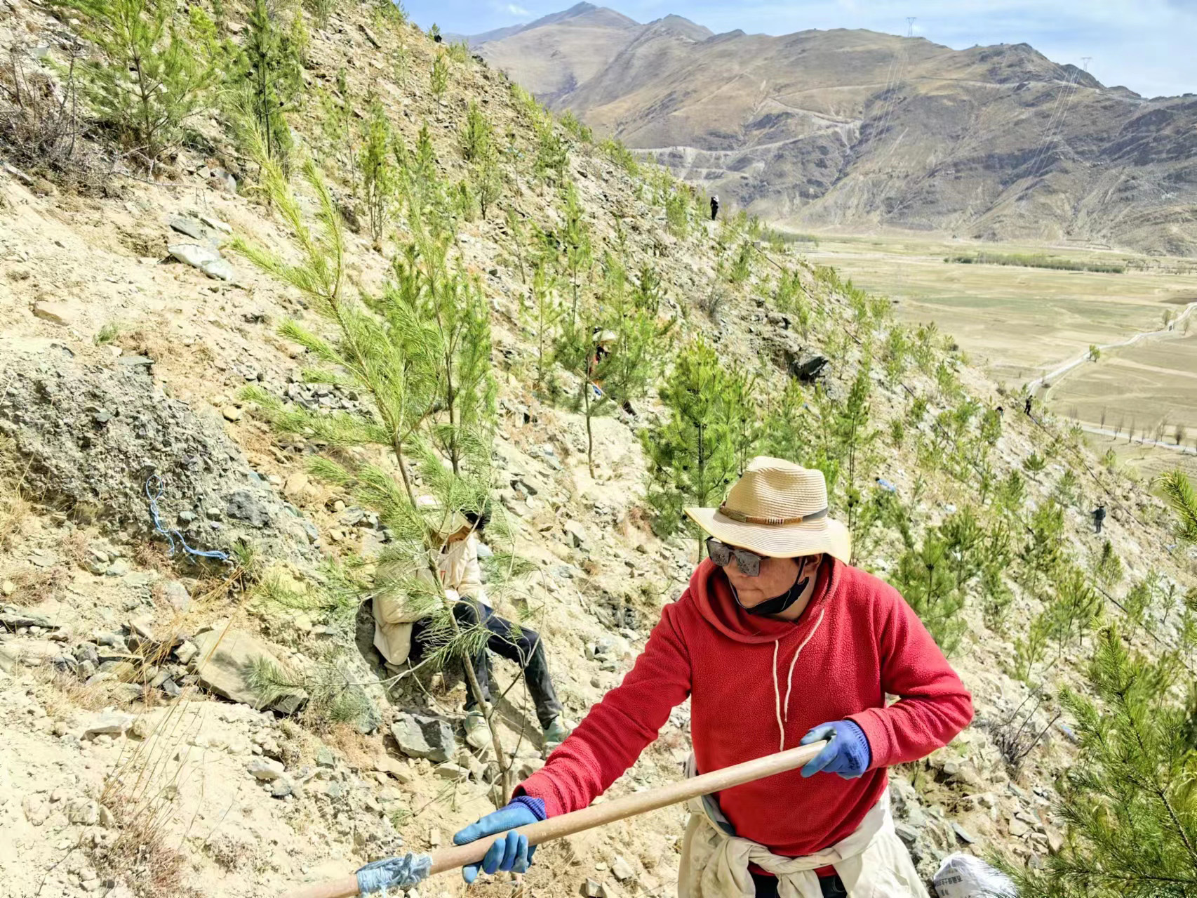 1715075444824187.jpg 南北山绿化项目现场.jpg