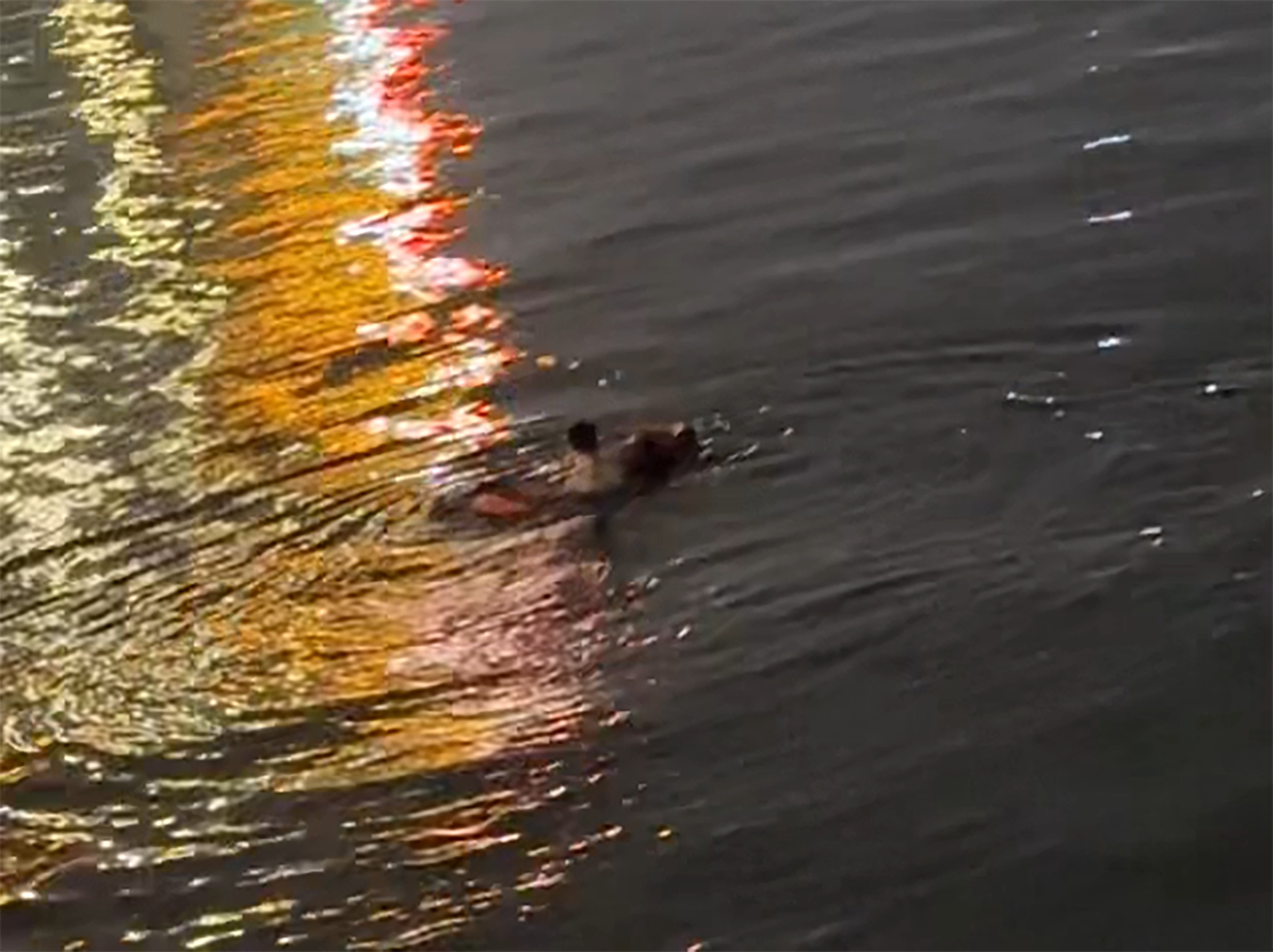 1715047108178534.jpg 周鑫宇拖着落水女孩往回游。 受访者 供图.jpg