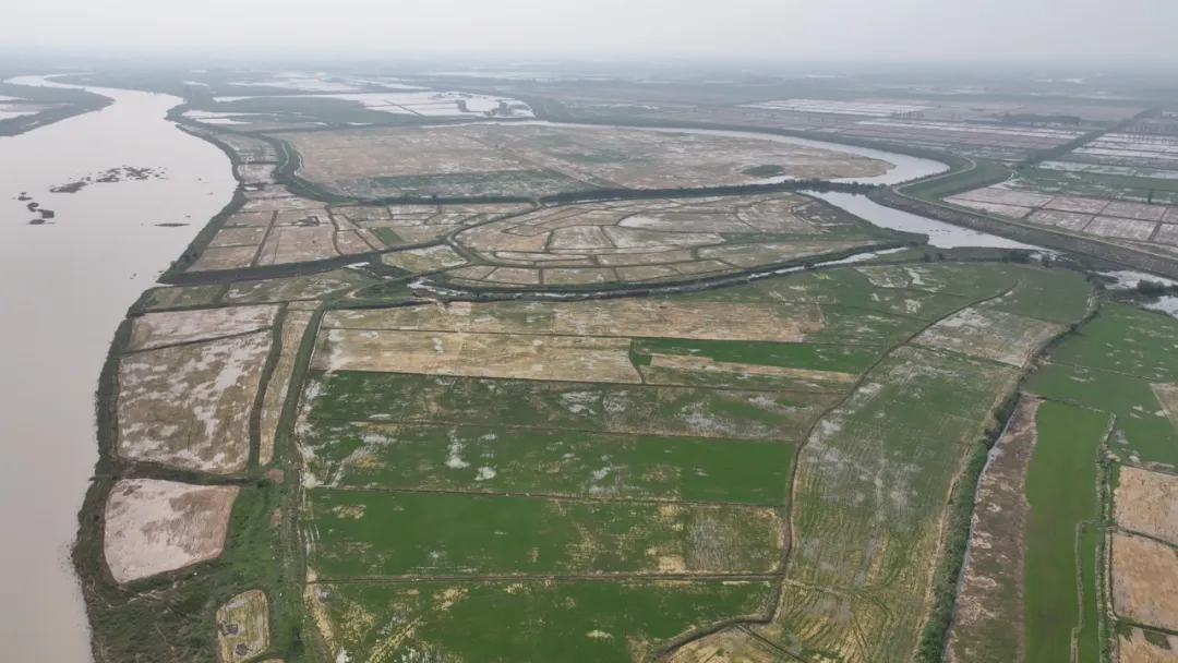 1716018017292812.jpg 围湖3.jpg