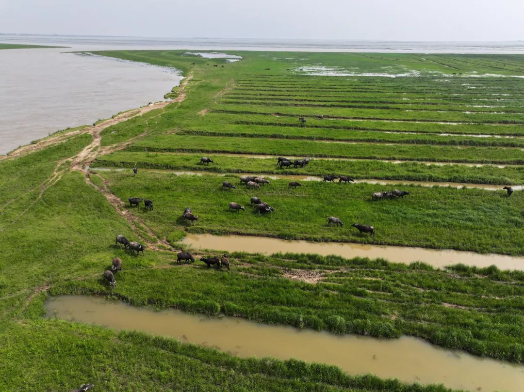 1716018035730721.jpg 围湖4.jpg