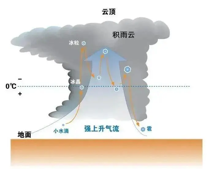 1716531276626205.jpg 3名1.jpg