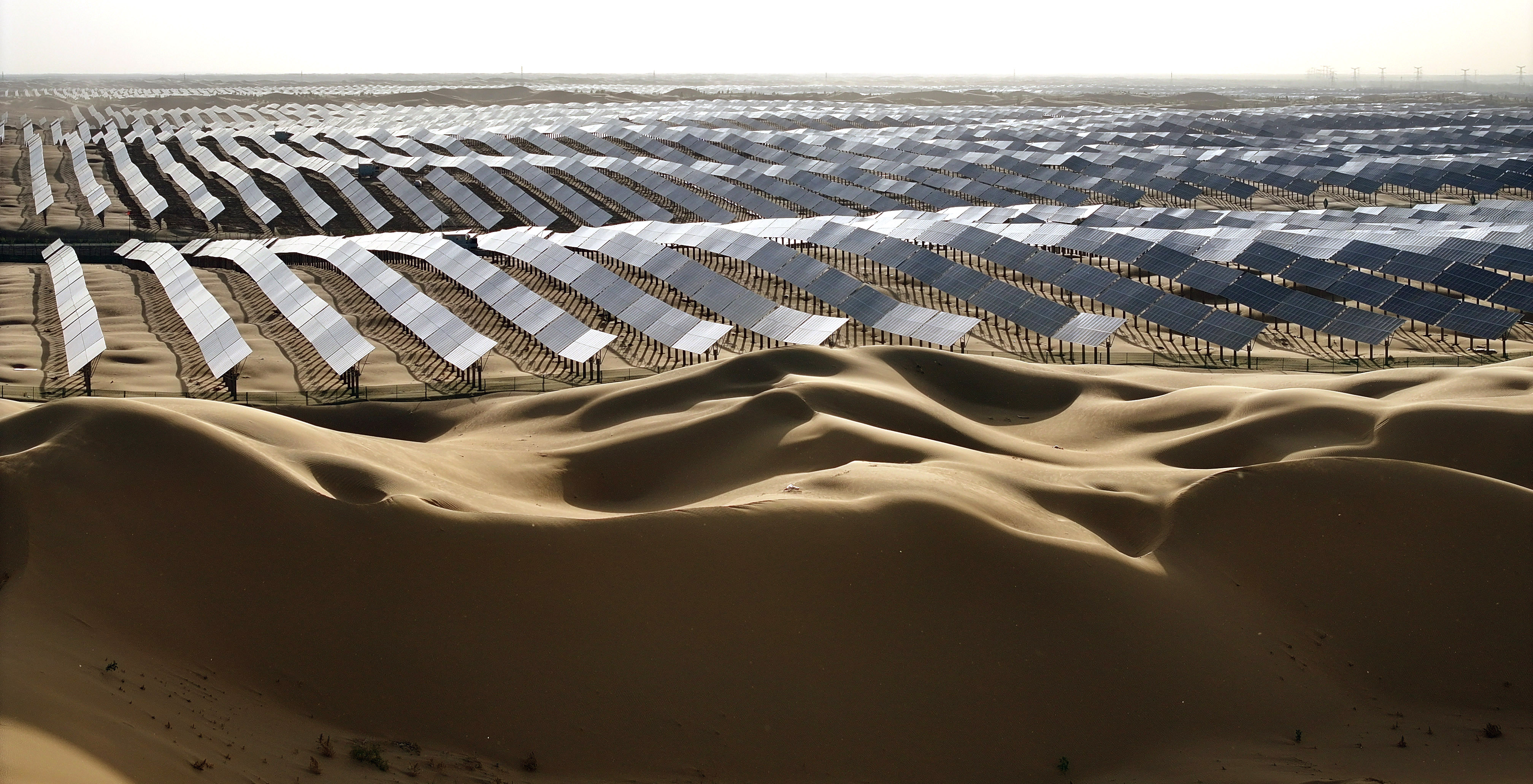 1716540907312660.jpg e29d472a52ddfdd08e33d9b8feeffcc1_.jpg