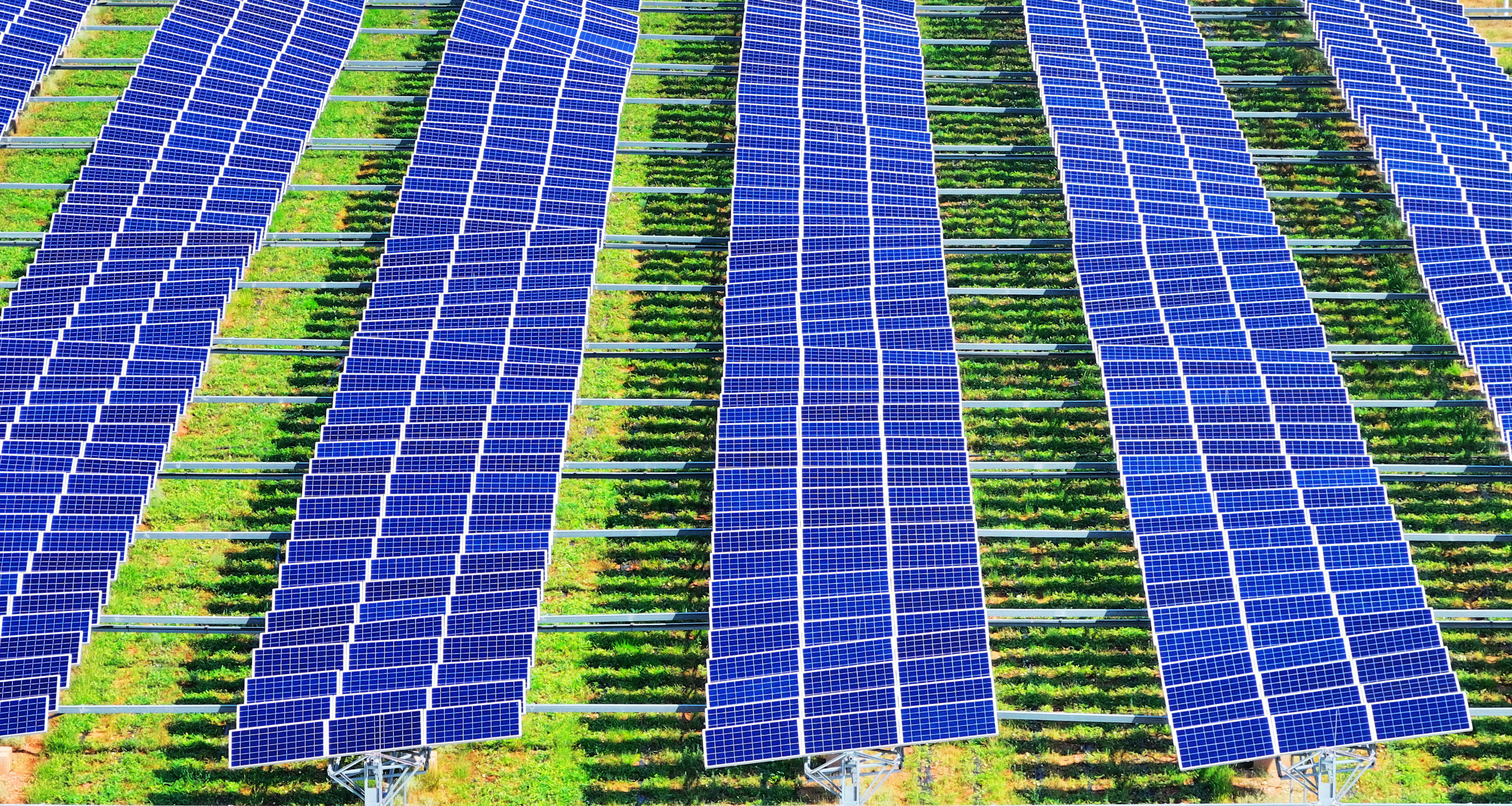 1716540791324101.jpg 53a9a996c62f804b553fcb32be931fc7_.jpg