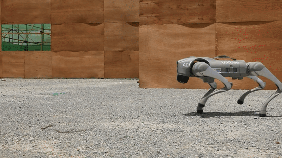 1716763814138745.gif 01.gif